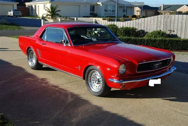 Ford Mustang Shelby GT350 image 5