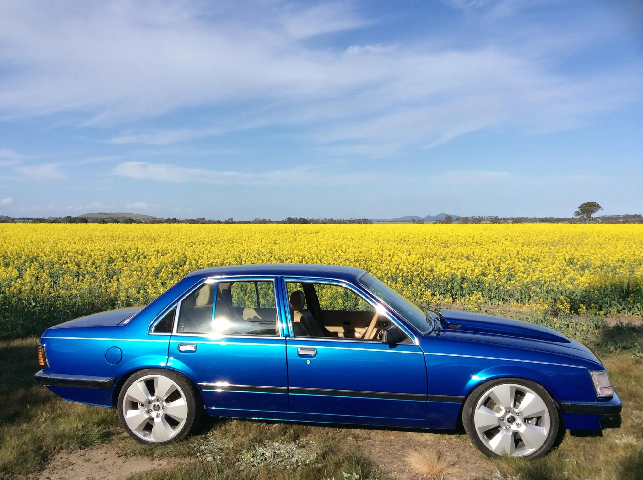 Holden VH Commodore SLE image 5