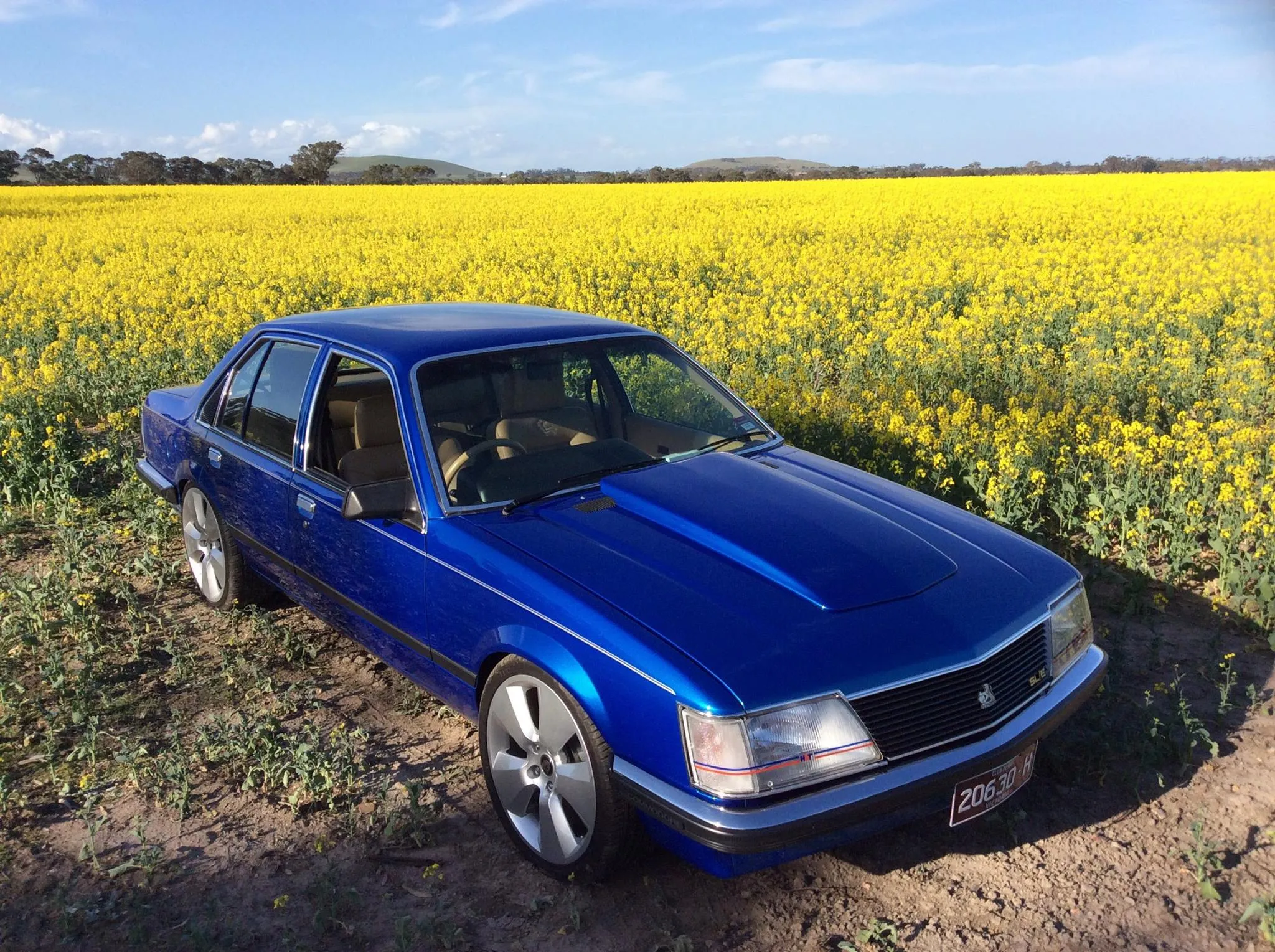 Holden VH Commodore SLE image 8